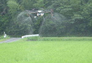 R3-1-1 特集号➁